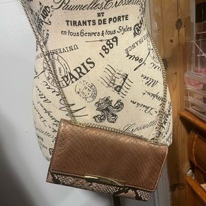 Small Aldo Crossbody